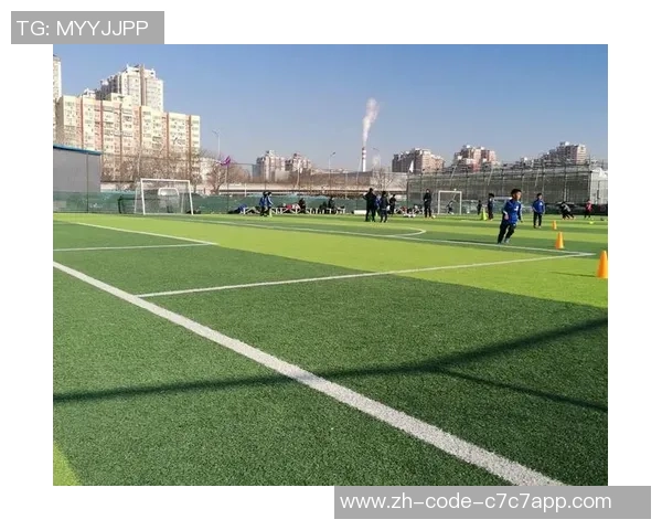 足球香蕉树下的梦想与追逐在绿茵场上绽放的青春故事